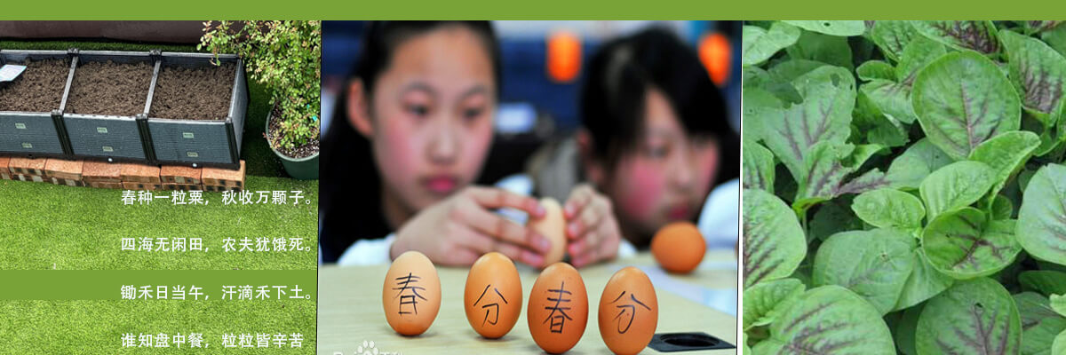 Spring Aite Spring Aite