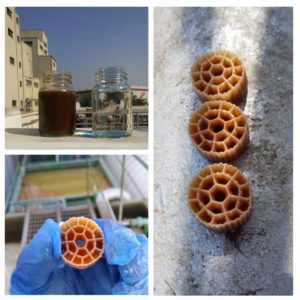 Carrier Moving Bed Reactor Bio Media Filter Mbbr Biofilter Media Carrier Moving Bed Reactor Bio Media Filter Mbbr Biofilter Media