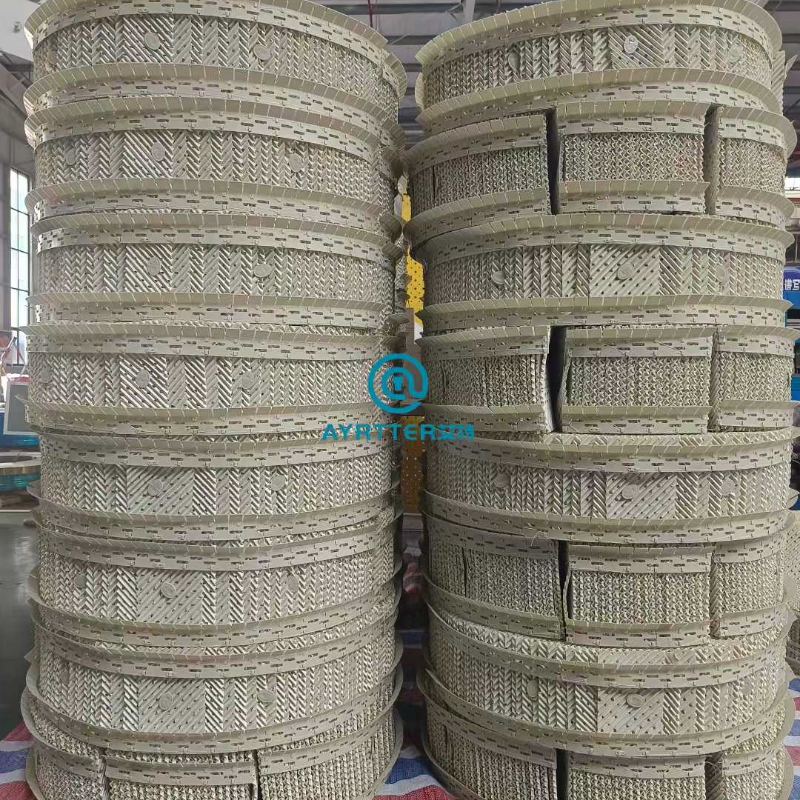 Jiangxi Ayrtter Mass Transfer Technology Co., Ltd. Debuts at the 2025 Achema Asia Exhibition