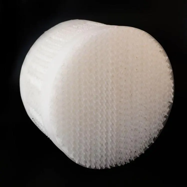 PFA Pall Ring: High-Purity Random Packing for Corrosive Separation