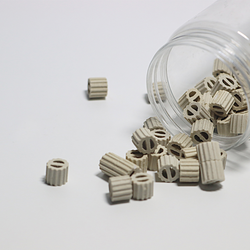Ceramic lessing ring for RTO media